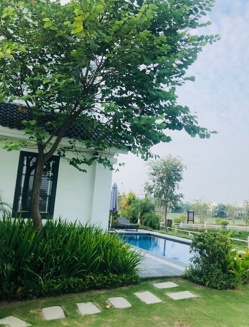 A serene outdoor scene reveals a swimming pool surrounded by lush greenery and neatly trimmed grass. A shaded area is offered by a large tree, with stepping stones leading toward the water's edge. A gentle blue sky can be seen in the background.