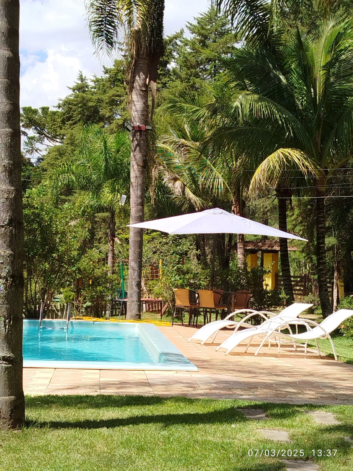 A serene outdoor area is depicted, featuring a swimming pool accompanied by sun loungers and a shaded seating area under an umbrella. Lush palm trees and greenery surround the space, creating a tranquil environment for relaxation.