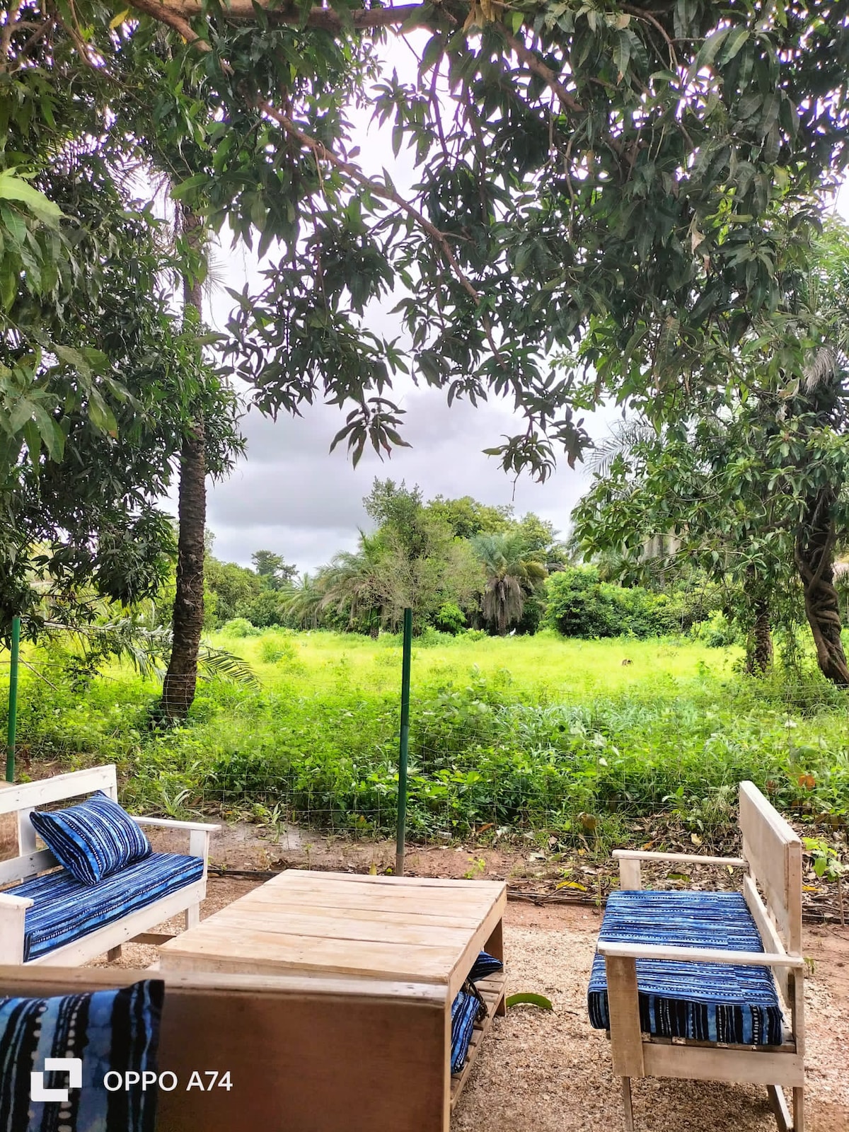 A private seating area contains two white chairs and a coffee table, surrounded by lush greenery. The space is shaded by overhanging branches, offering a view of an open field filled with diverse plants and trees in the background.
