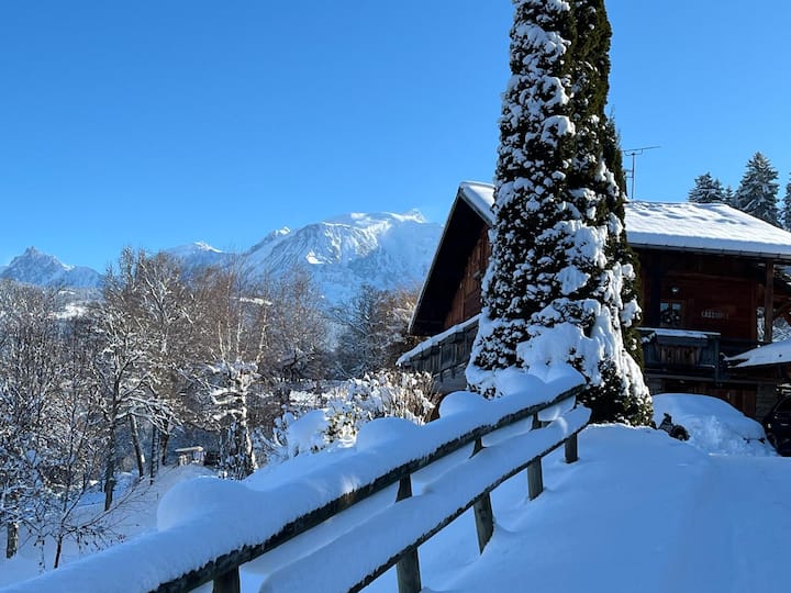 Superbe Chalet Face Au Mont Blanc - Praz-sur-Arly
