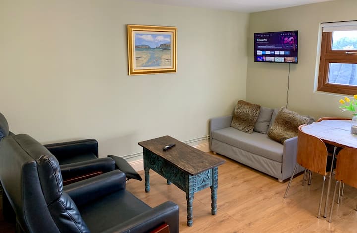 Spacious & Comfy 2 King Bed Apartment Wexford Co - New Ross