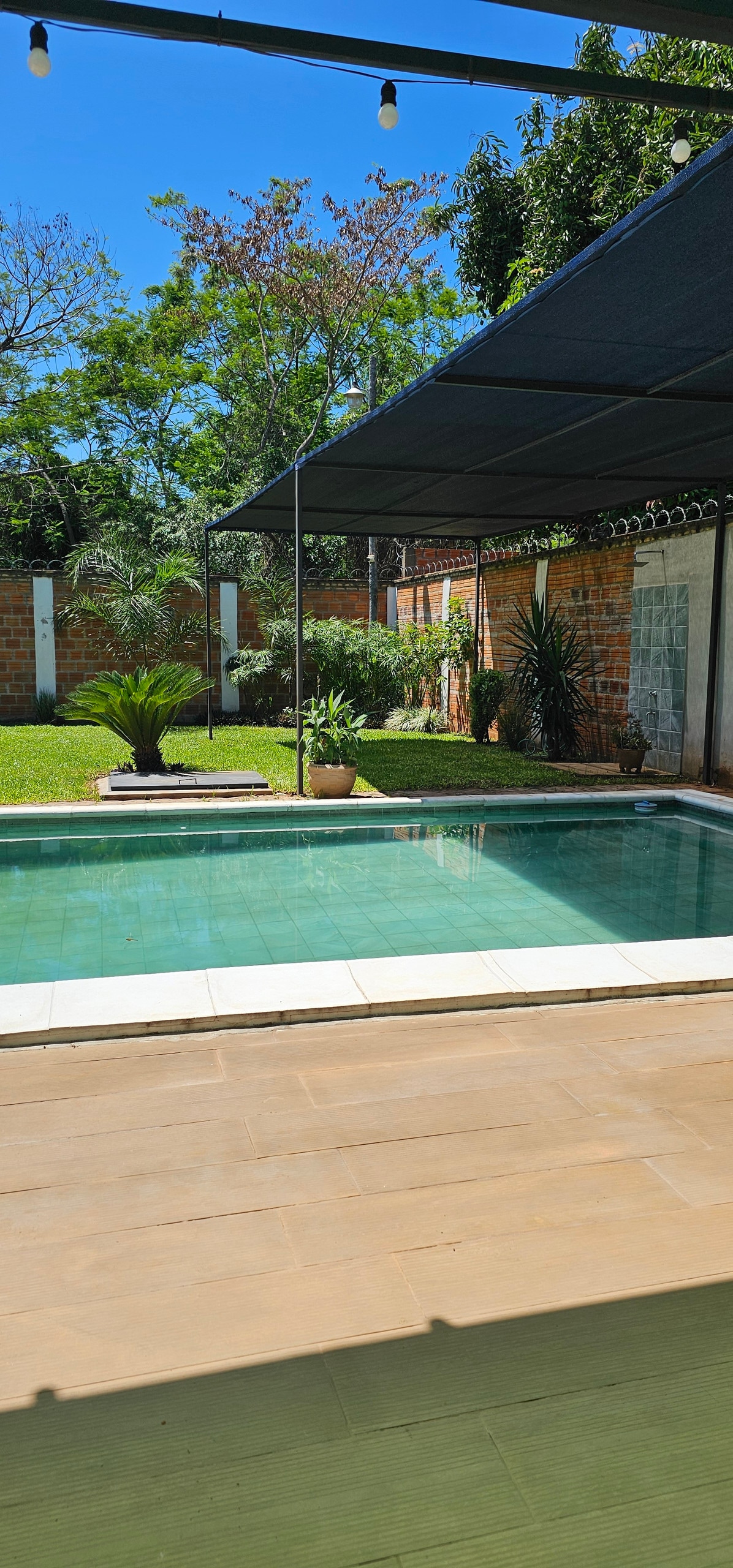 A serene pool area is framed by lush greenery, featuring a clear blue pool surrounded by a tiled deck. Tall plants and shrubs add natural beauty, while a shaded seating area provides comfort and relaxation under the bright sky.