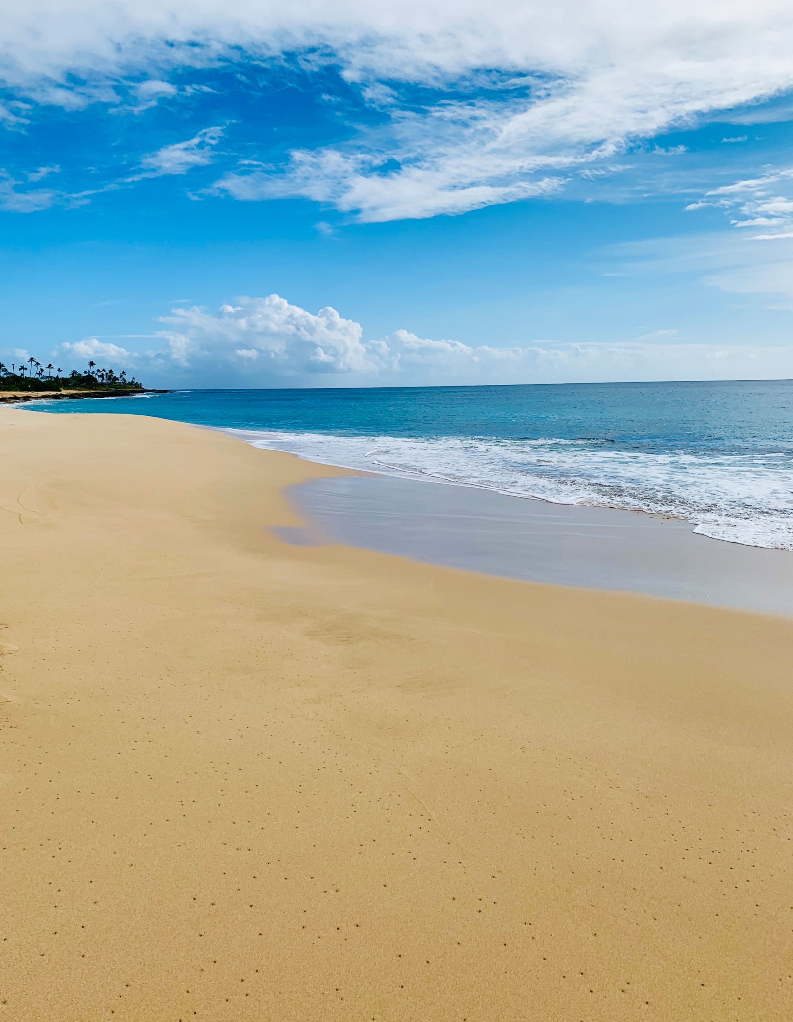 Home in Waianae · ★4.87 · 3 bedrooms · 5 beds · 2 private baths - Image 105