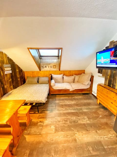 Top Airbnb: Studio les Sybelles Ski-in/ski-out, resort center in Saint Jean D'arves
