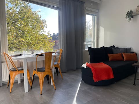 Successful Airbnb property: Citycenter, sauna, balcony, wifi 300M and parking in Pori