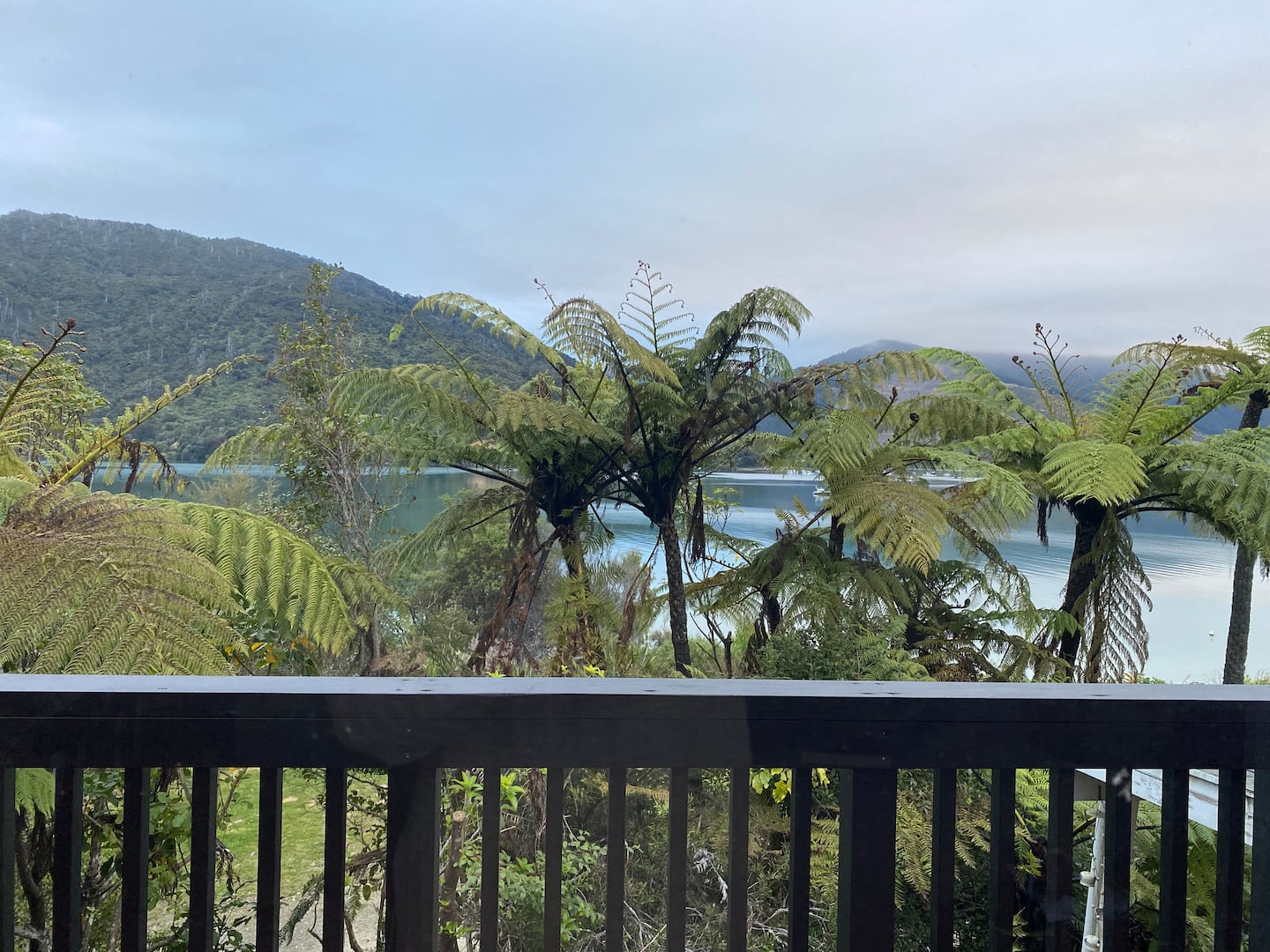 Marlborough Sounds Haven 1