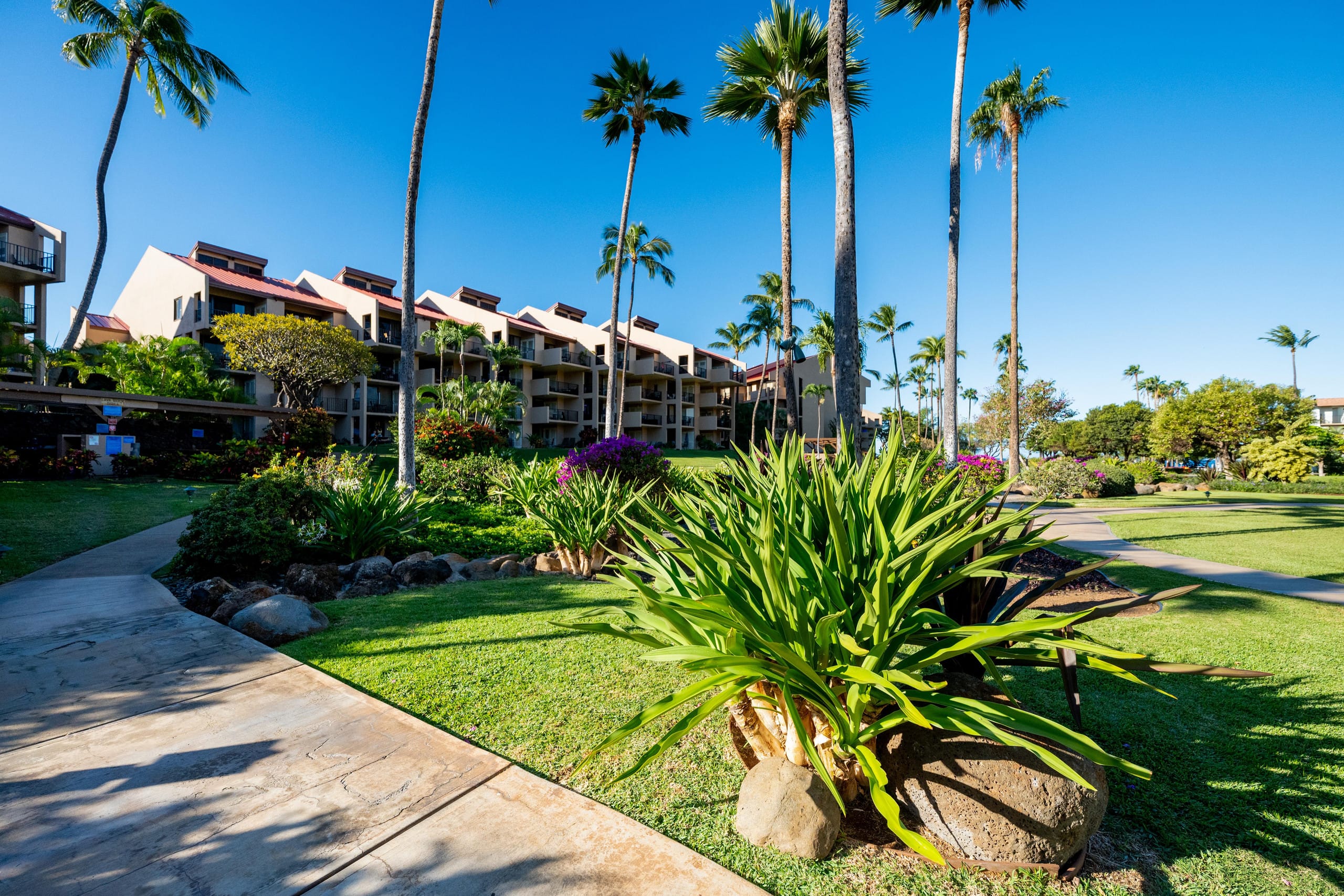 Townhouse in Kihei · ★5.0 · 1 bedroom · 2 beds · 2 baths - Image 96