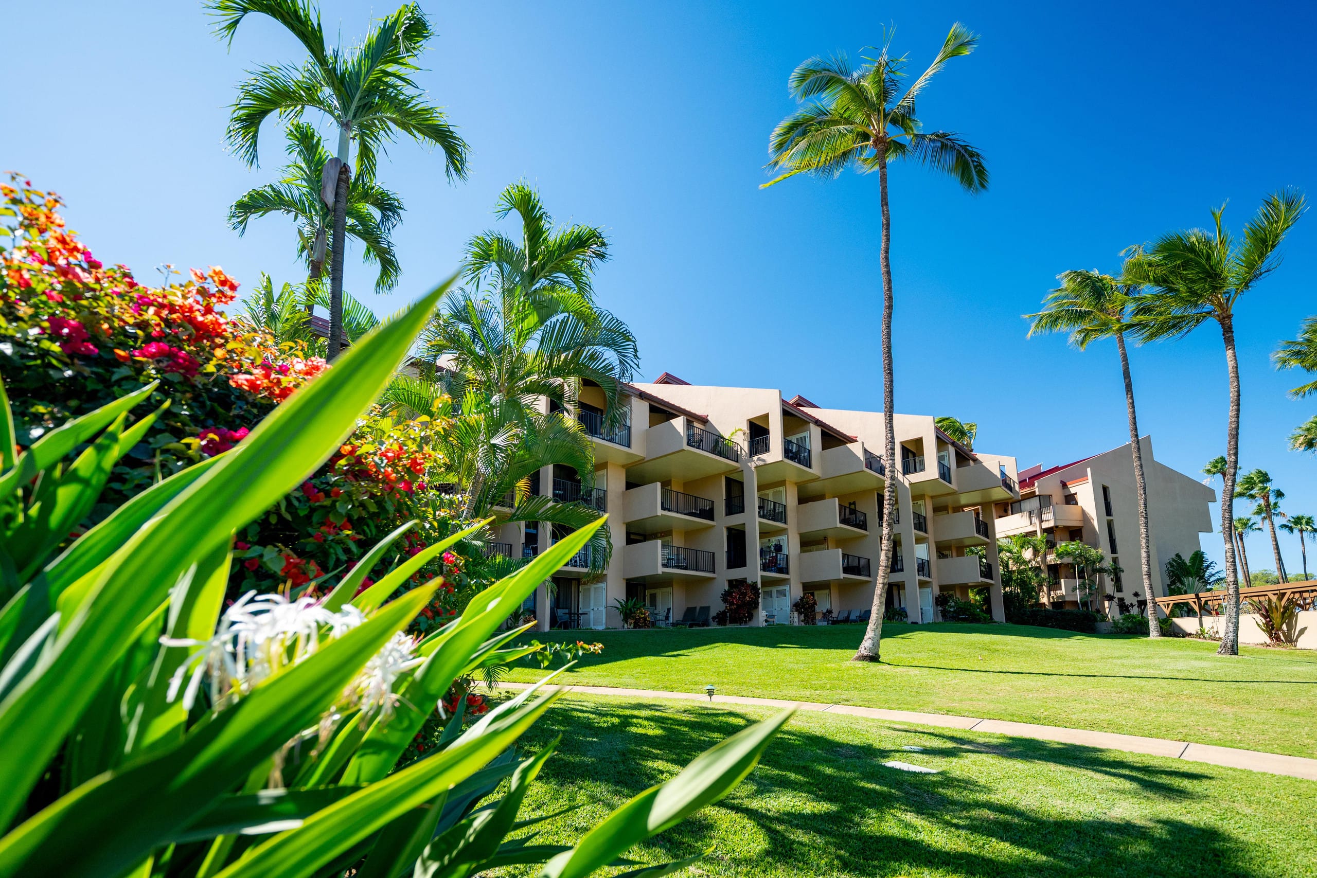Townhouse in Kihei · ★5.0 · 1 bedroom · 2 beds · 2 baths - Image 51