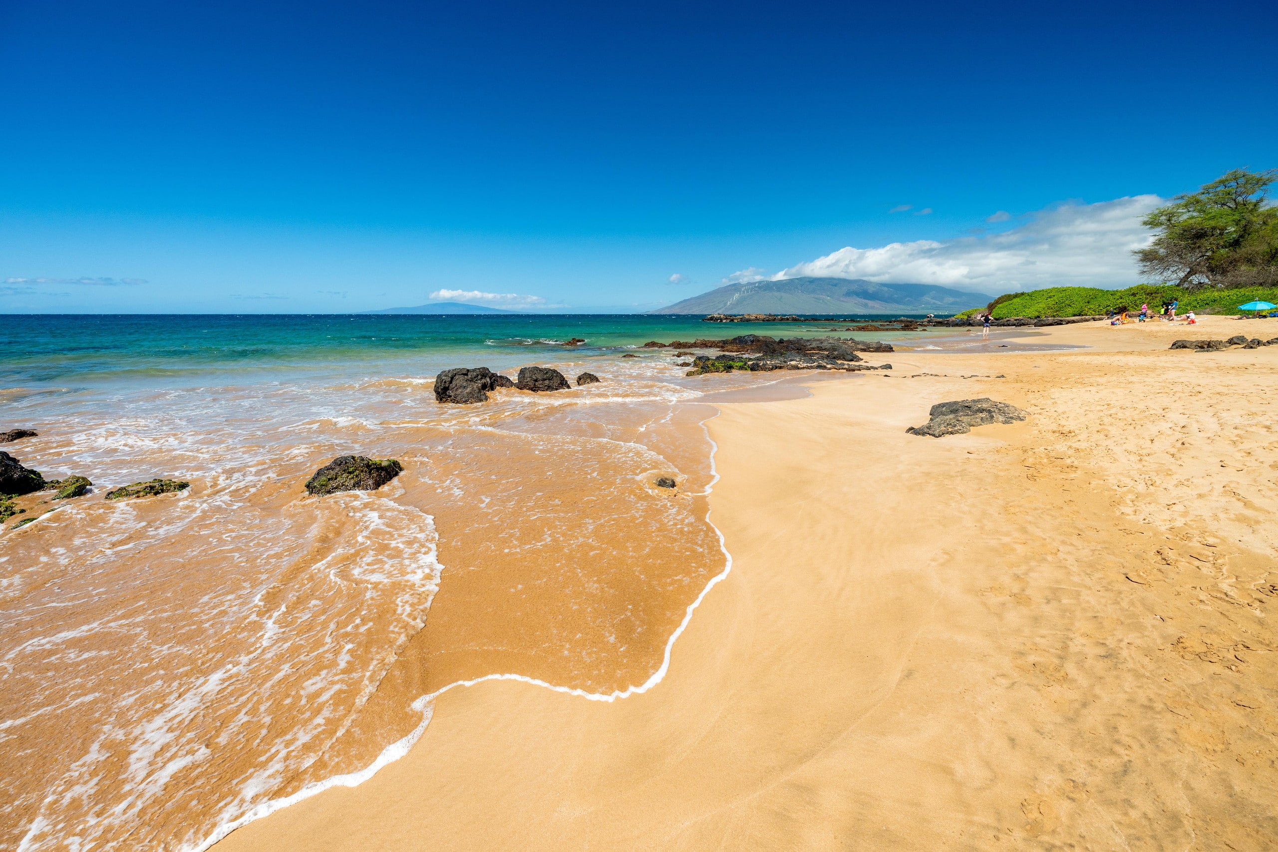 Townhouse in Kihei · ★5.0 · 1 bedroom · 2 beds · 2 baths - Image 87