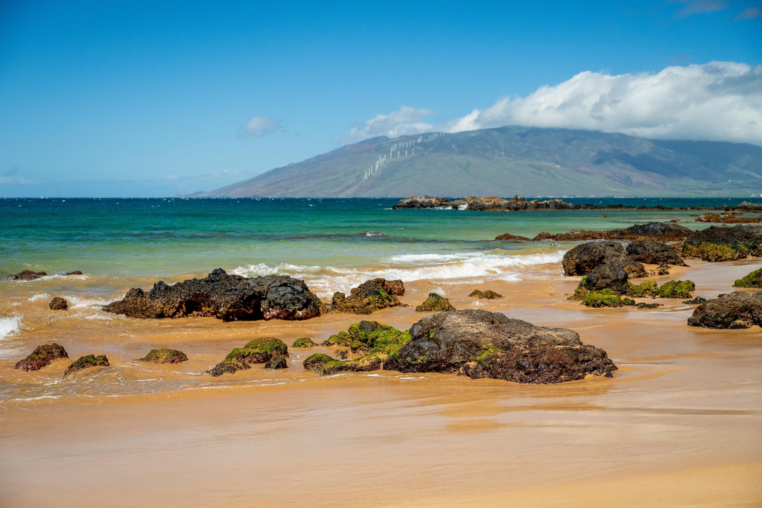 Townhouse in Kihei · ★5.0 · 1 bedroom · 2 beds · 2 baths - Image 90