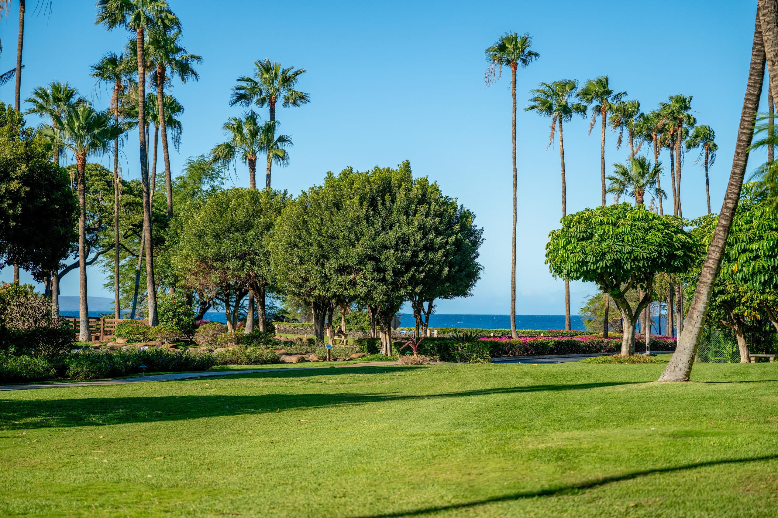 Townhouse in Kihei · ★5.0 · 1 bedroom · 2 beds · 2 baths - Image 102