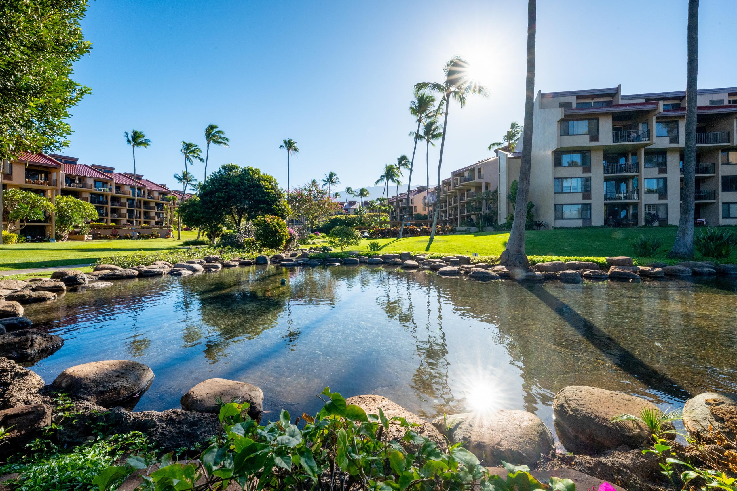 Townhouse in Kihei · ★5.0 · 1 bedroom · 2 beds · 2 baths - Image 103