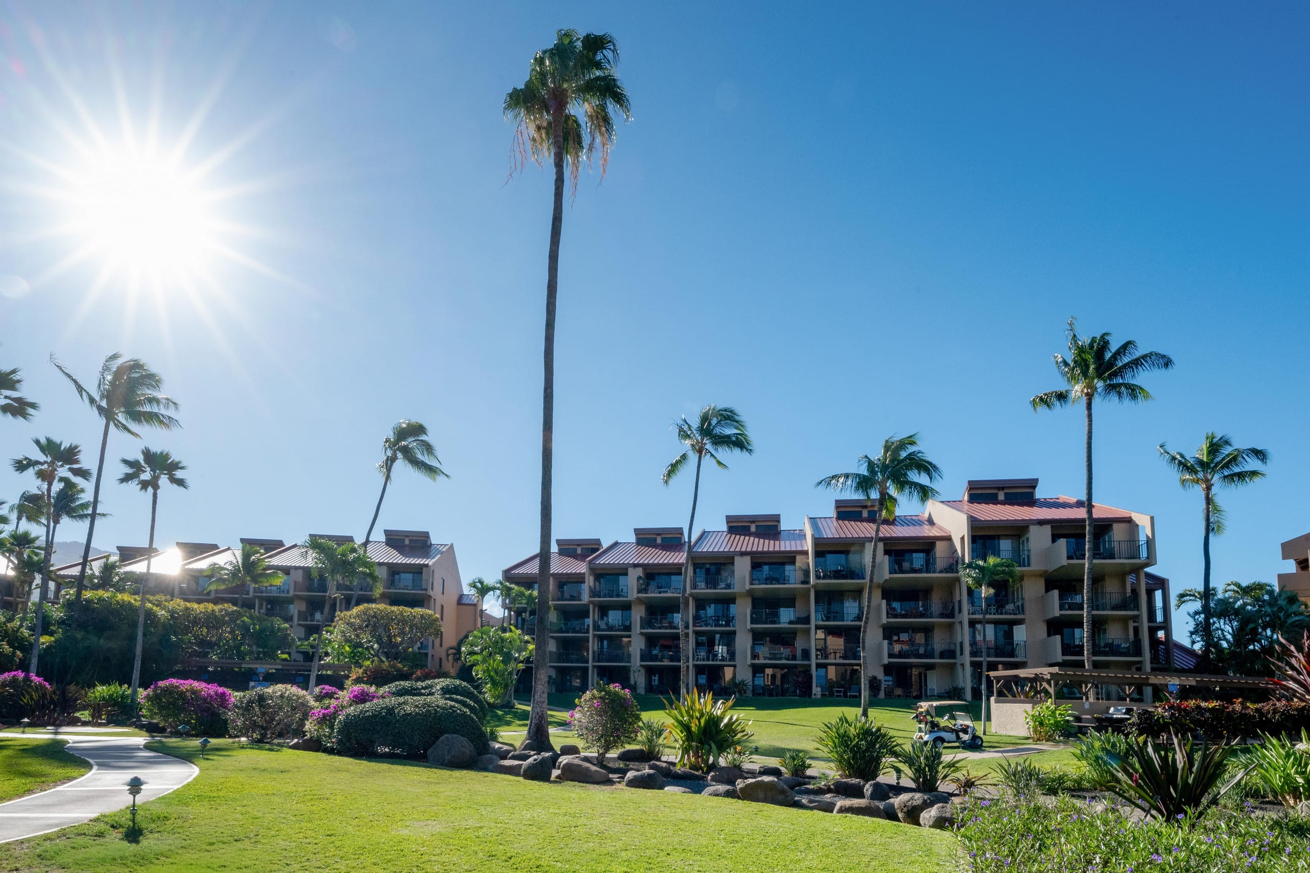 Townhouse in Kihei · ★5.0 · 1 bedroom · 2 beds · 2 baths - Image 105