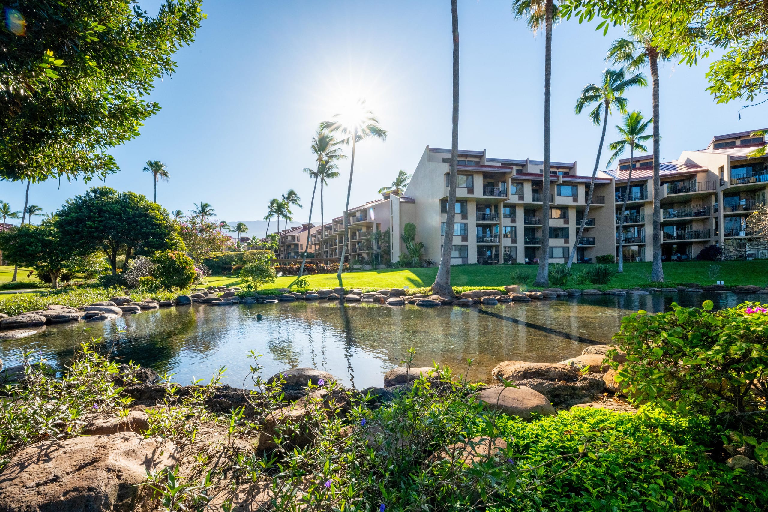 Townhouse in Kihei · ★5.0 · 1 bedroom · 2 beds · 2 baths - Image 101
