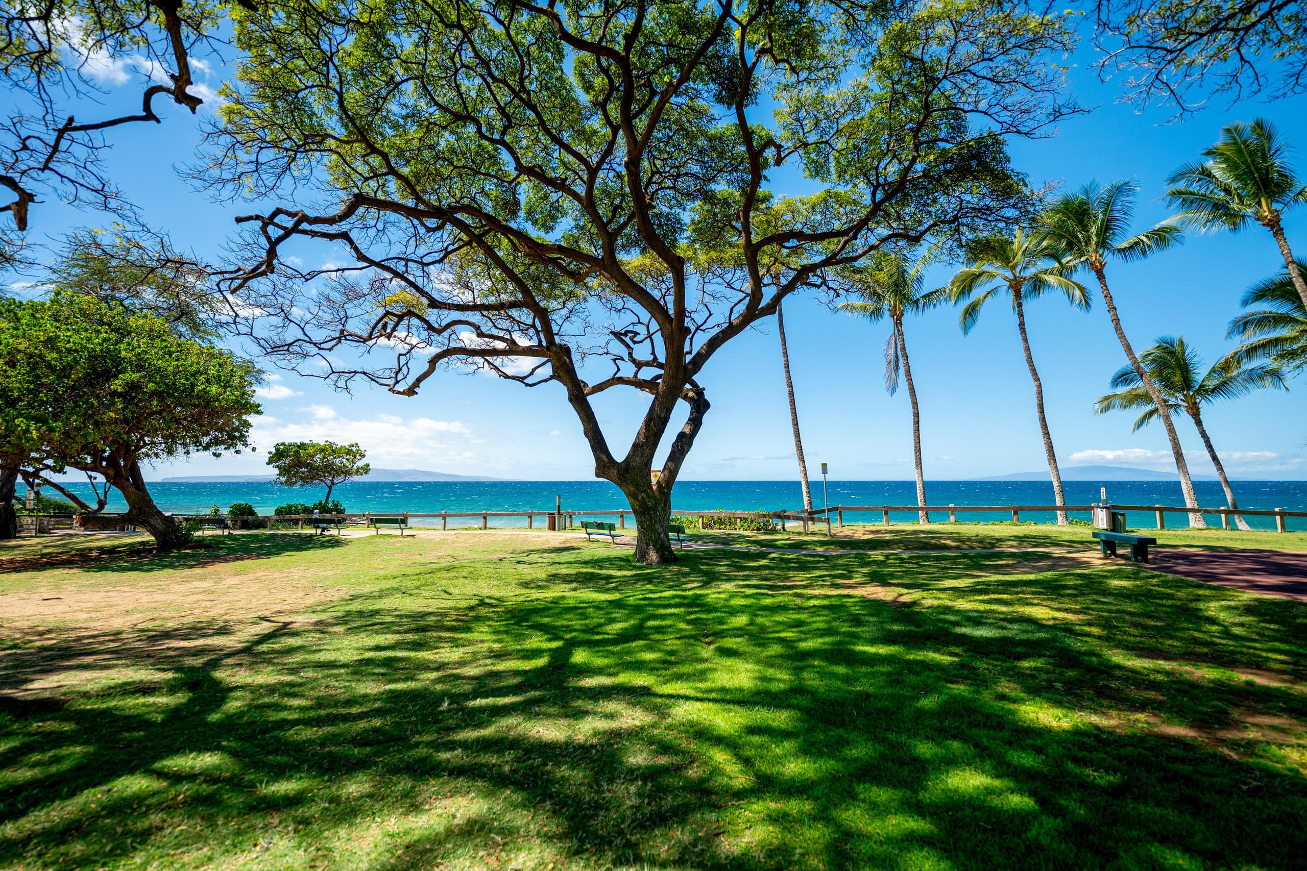 Townhouse in Kihei · ★5.0 · 1 bedroom · 2 beds · 2 baths - Image 94