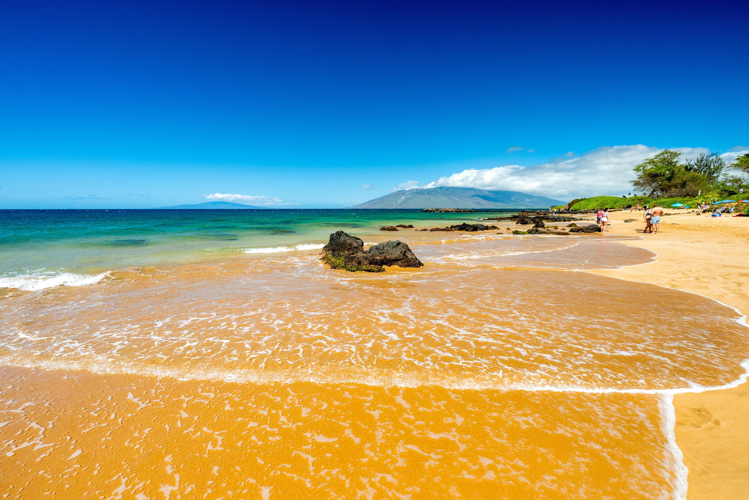 Townhouse in Kihei · ★5.0 · 1 bedroom · 2 beds · 2 baths - Image 89