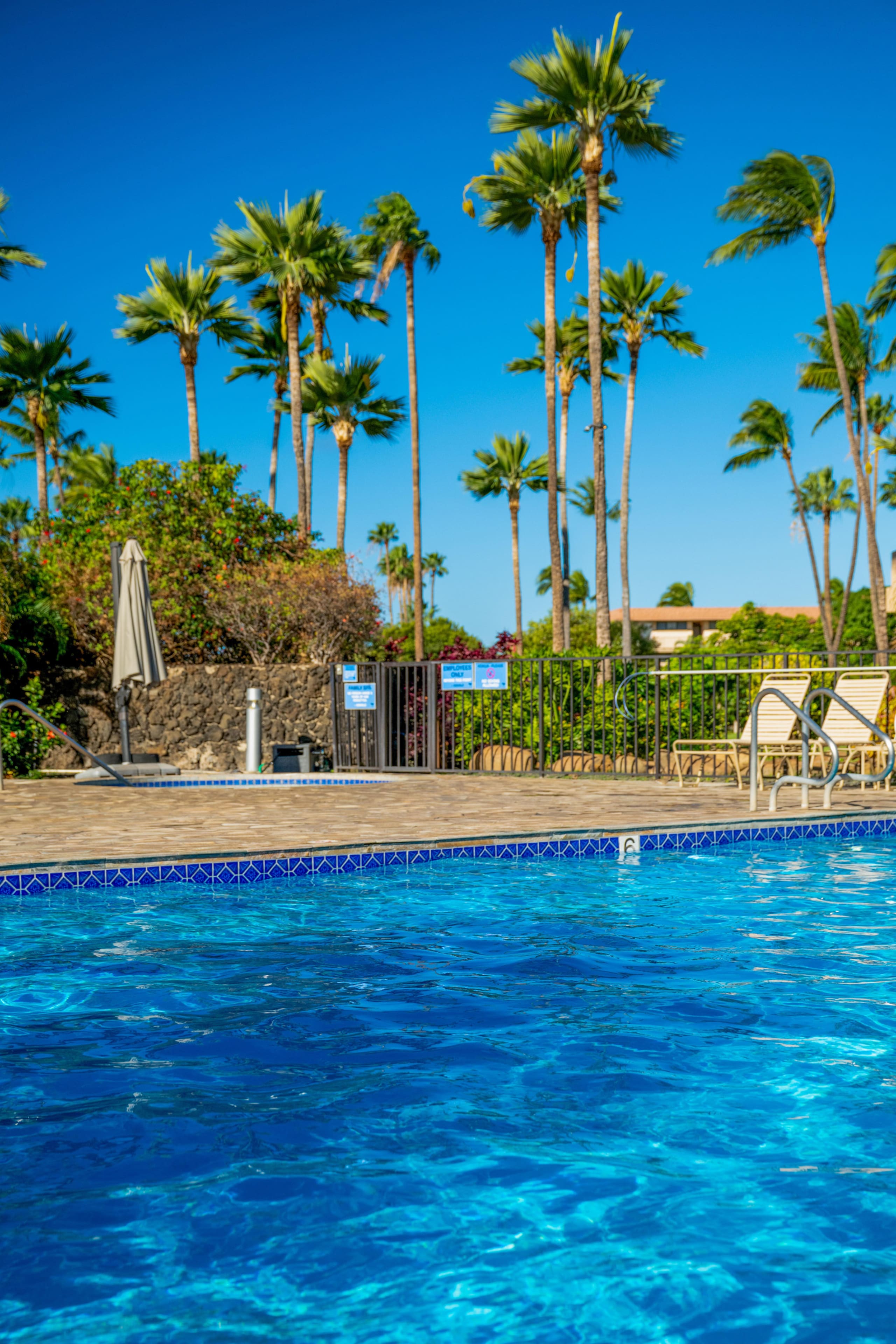 Townhouse in Kihei · ★5.0 · 1 bedroom · 2 beds · 2 baths - Image 59