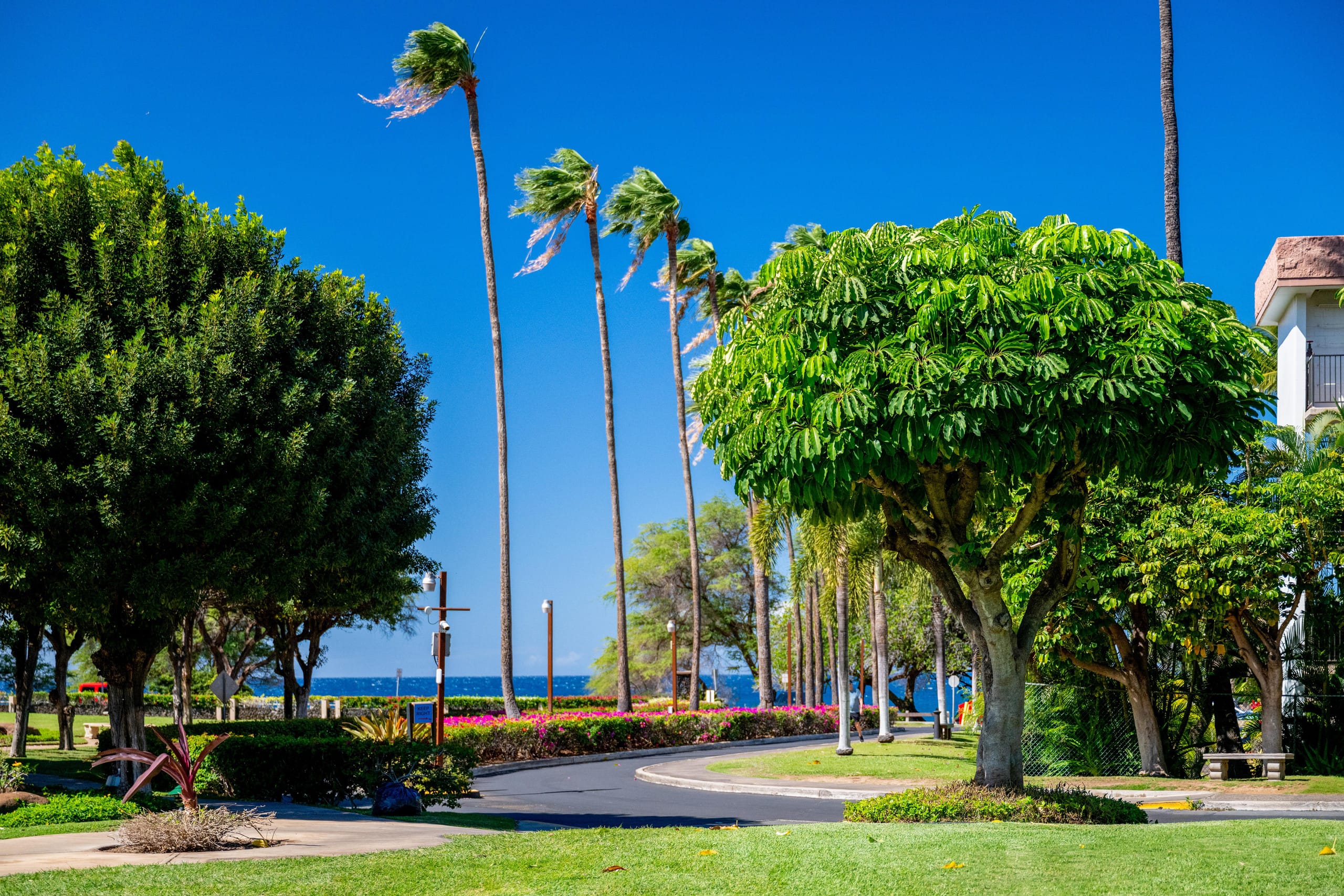 Townhouse in Kihei · ★5.0 · 1 bedroom · 2 beds · 2 baths - Image 112