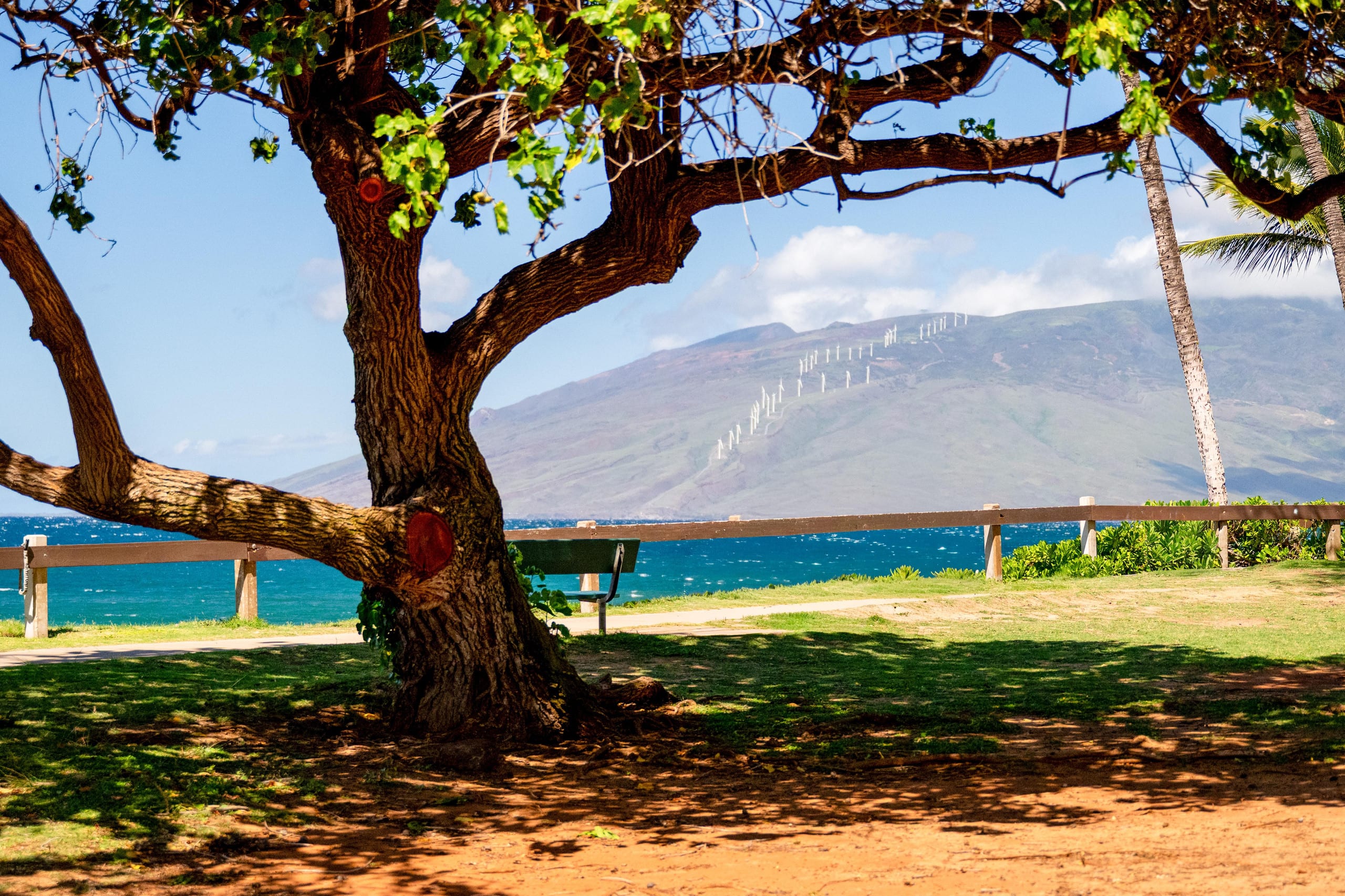 Townhouse in Kihei · ★5.0 · 1 bedroom · 2 beds · 2 baths - Image 82
