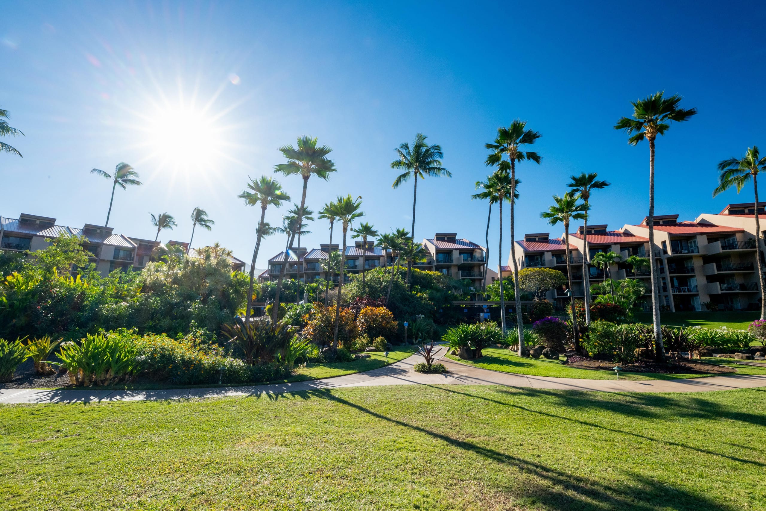 Townhouse in Kihei · ★5.0 · 1 bedroom · 2 beds · 2 baths - Image 98
