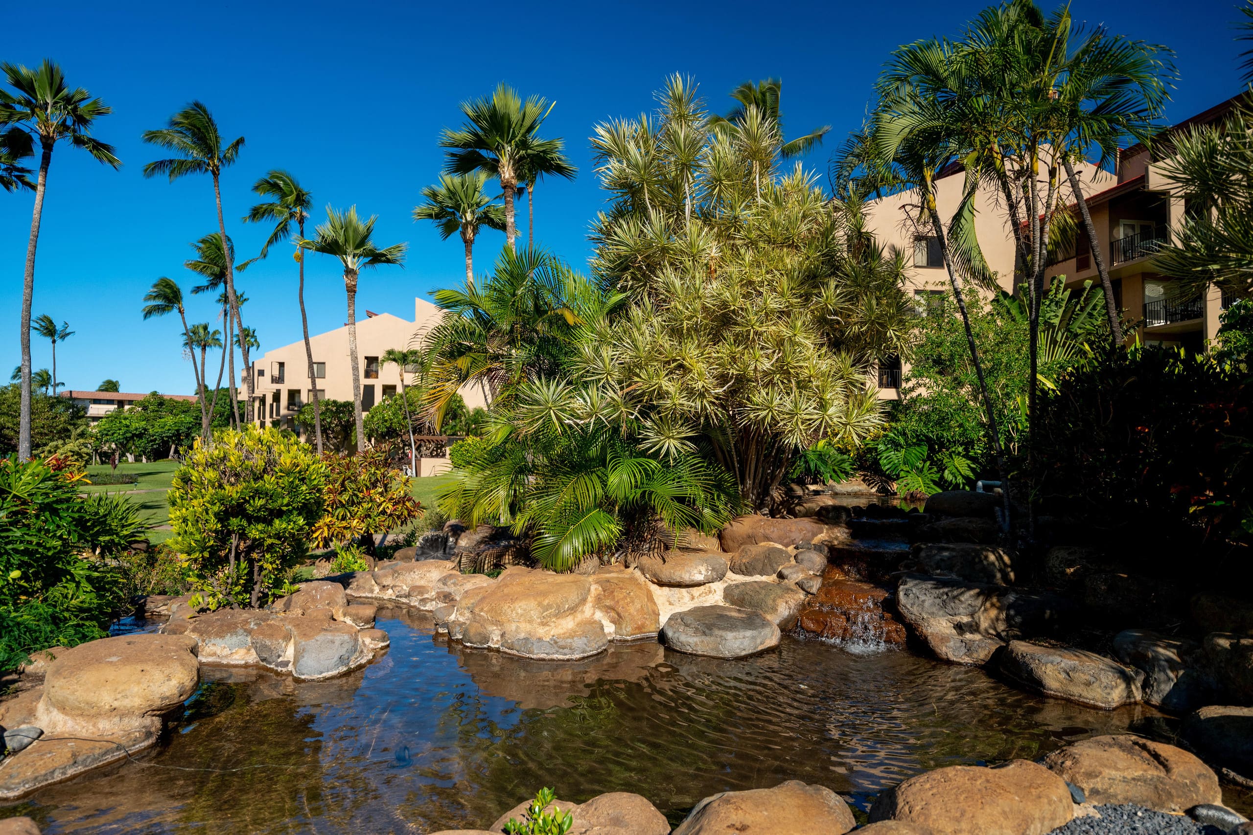 Townhouse in Kihei · ★5.0 · 1 bedroom · 2 beds · 2 baths - Image 107
