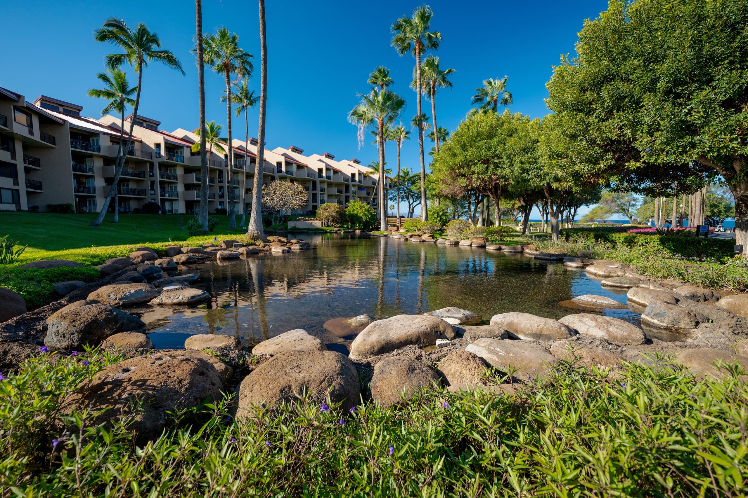 Townhouse in Kihei · ★5.0 · 1 bedroom · 2 beds · 2 baths - Image 99