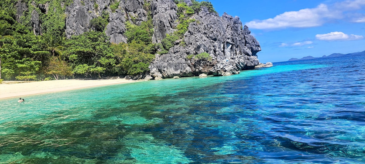 A serene beach scene is showcased, featuring clear turquoise waters gently lapping against soft white sand. Towering rocky cliffs provide a rugged backdrop, while vibrant green foliage clings to the landscape. The clear sky features a few scattered clouds, enhancing the tranquil atmosphere.