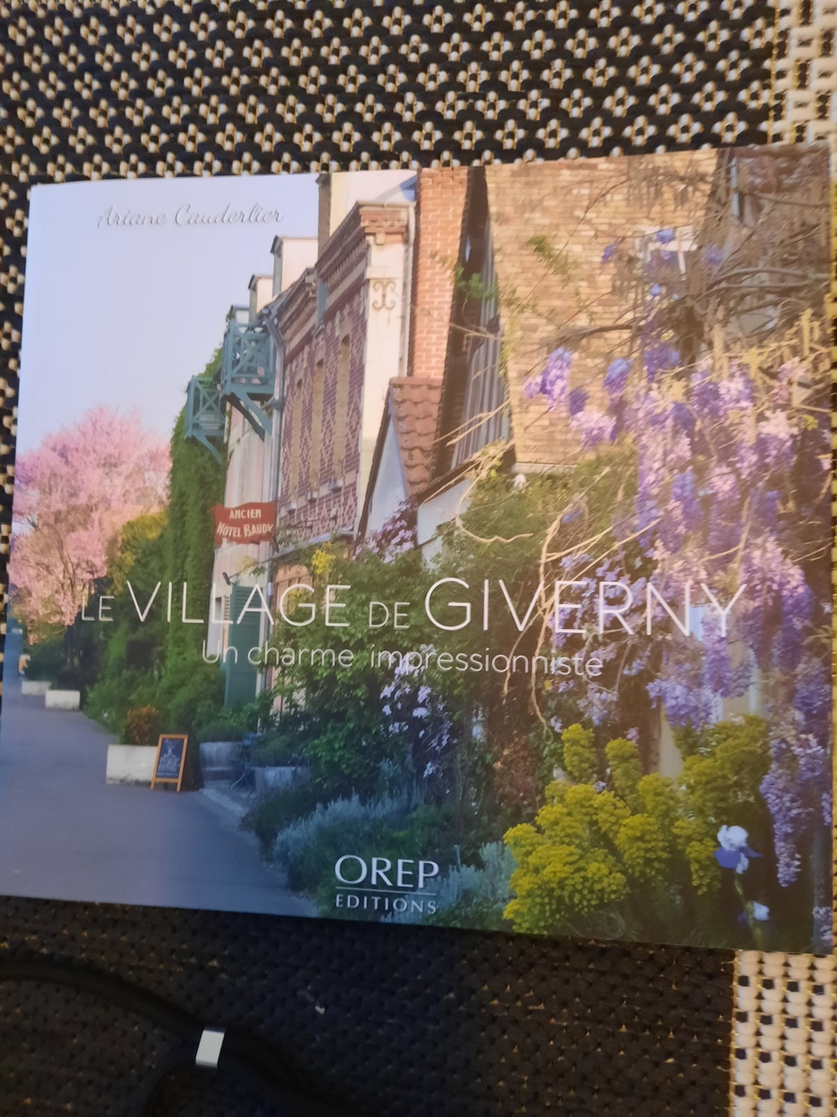 A charming scene of a village path in Giverny, lined with trees and blooming flowers. The pastel-colored buildings are adorned with greenery, creating a serene atmosphere. Soft light enhances the picturesque setting, inviting visitors to explore the surrounding beauty.