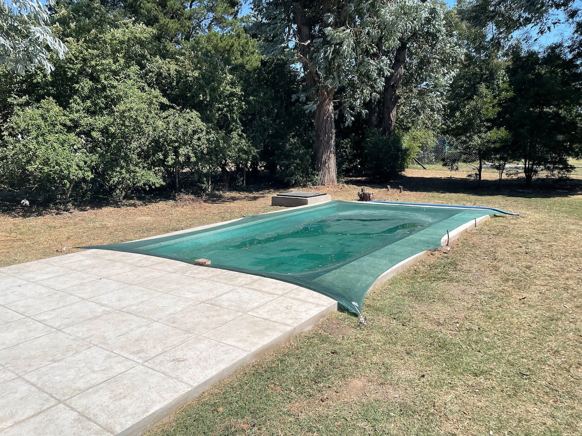 A secluded area features a swimming pool, covered with a protective net. Surrounding greenery creates a natural backdrop, while a paved area extends beside the pool, offering space for relaxation. The serene atmosphere is enhanced by the nearby trees.