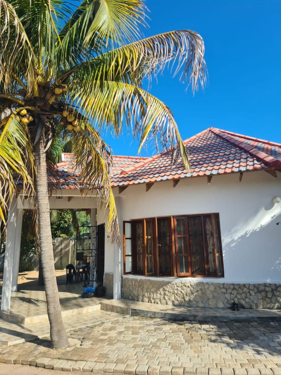 A charming exterior of a single-story home is highlighted by a palm tree with lush fronds. Stone-paved steps lead to a spacious entrance, surrounded by large windows that invite natural light, showcasing a blend of traditional and modern architectural elements.