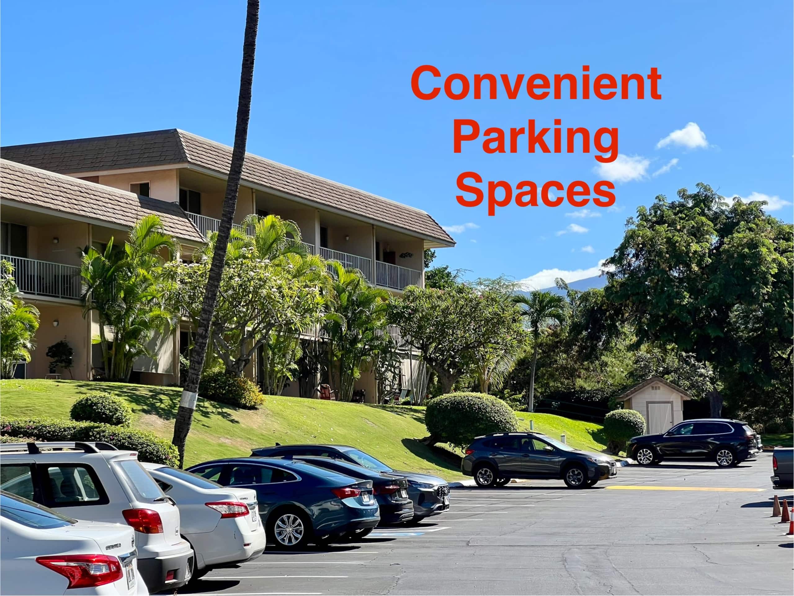 Condo in Kihei · ★4.95 · 1 bedroom · 2 beds · 1 bath - Image 30