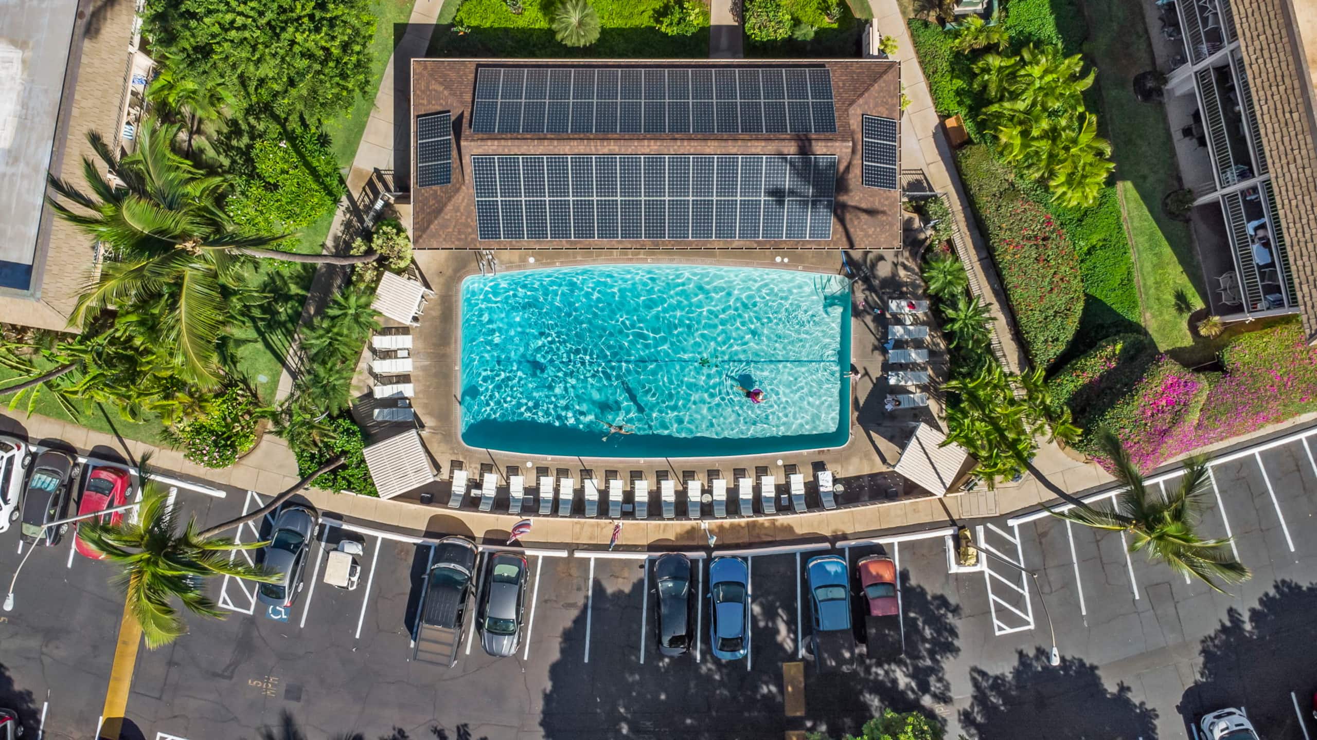 Condo in Kihei · ★4.95 · 1 bedroom · 2 beds · 1 bath - Image 29