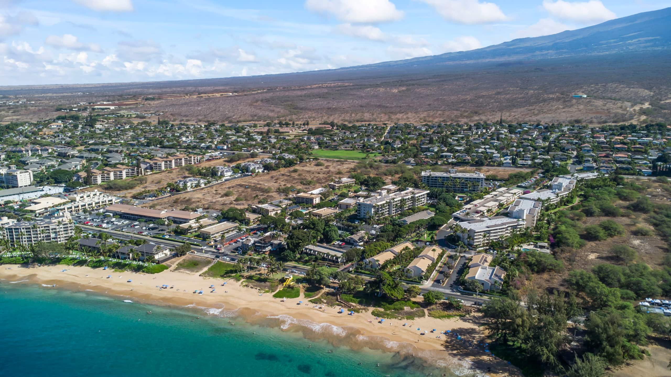 Condo in Kihei · ★4.95 · 1 bedroom · 2 beds · 1 bath - Image 34