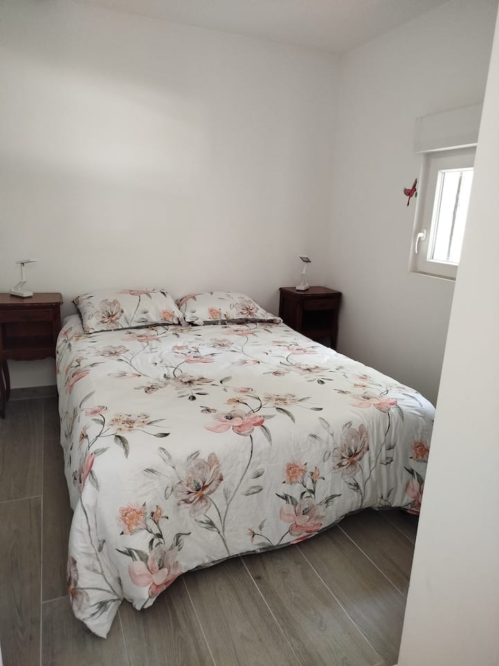 Habitación 1