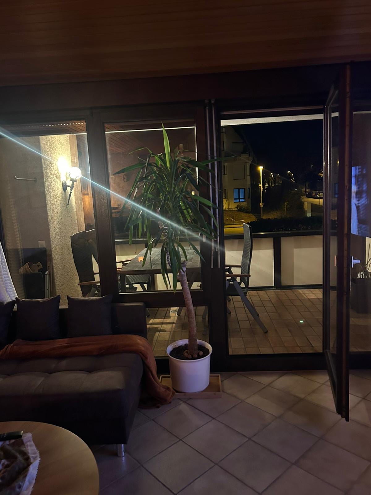 The image displays a living area featuring a dark sofa with a blanket draped over it. A tall indoor plant is placed in a white pot, near large glass doors that open onto a balcony. A dining table with chairs is visible outside.
