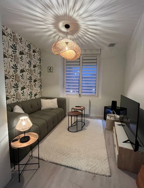 Propriété Airbnb réussie: Fully-equipped duplex with garage à Épinal