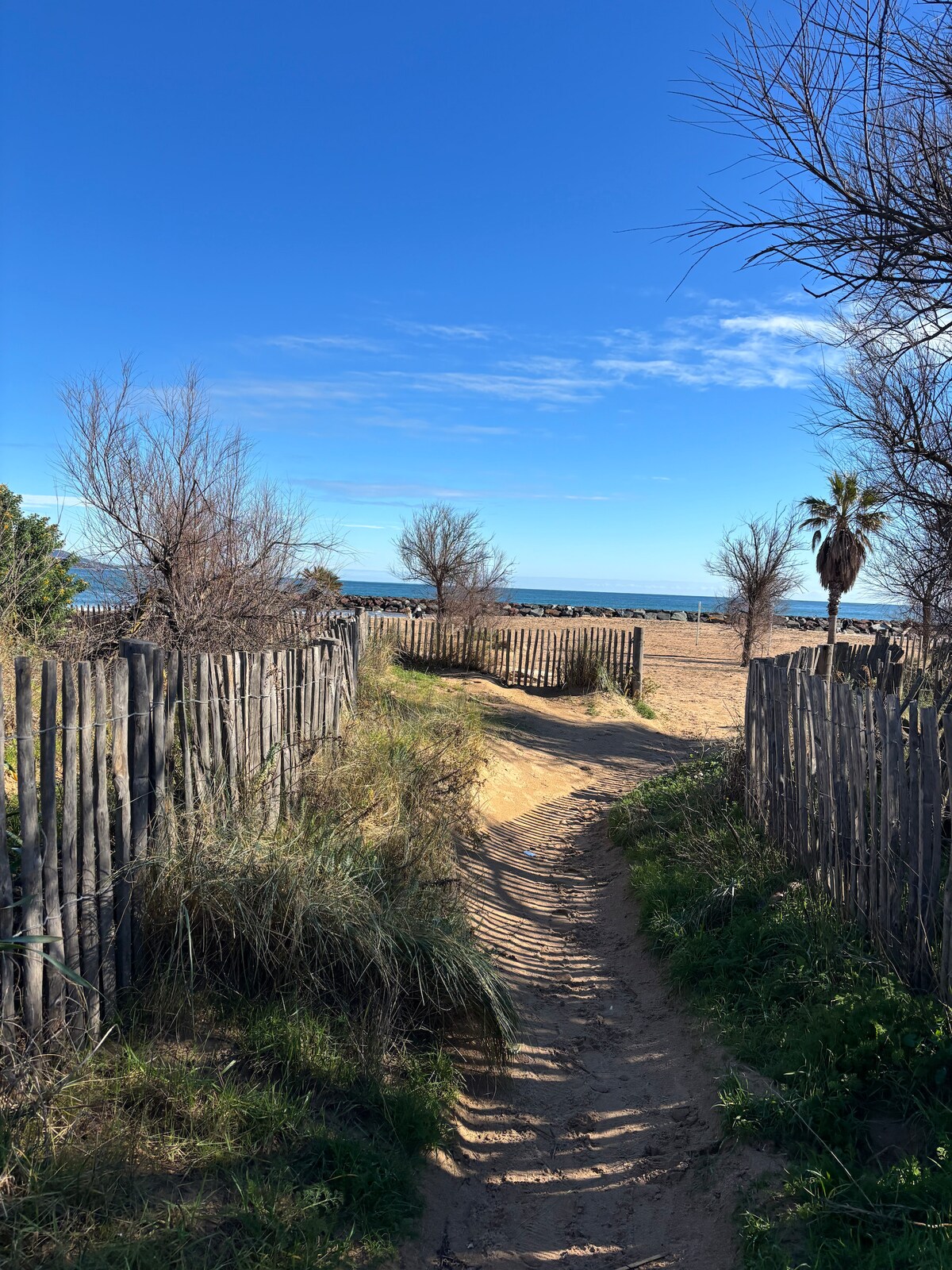 A sandy path leads through low, wooden fencing towards the beach. Lush grasses line the trail, with sparse trees and a palm visible. The sea is seen in the distance, meeting a clear blue sky.