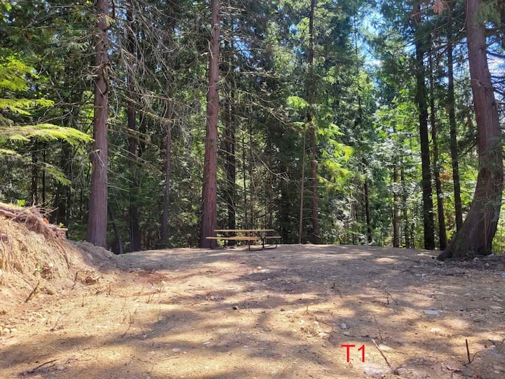 Tent/car Camping Site A - 吉布森斯
