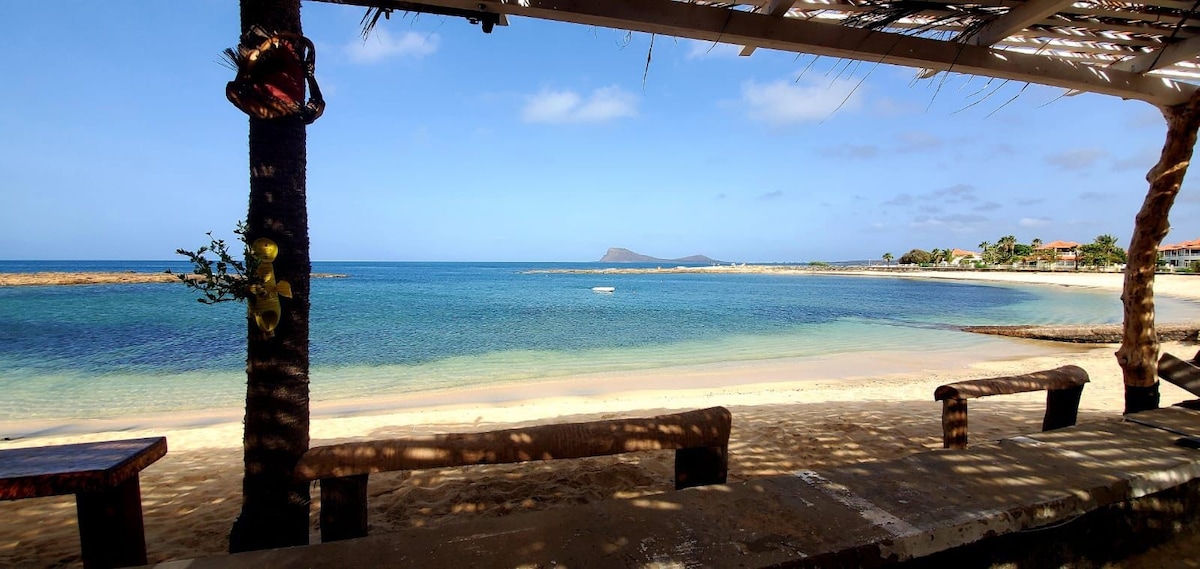 A serene beach view is framed by a rustic overhang, highlighting calm waters and a sandy shoreline. Gentle waves lap at the shore, while distant hills are visible against a clear sky. Wooden benches provide a space for relaxation and enjoyment of the landscape.