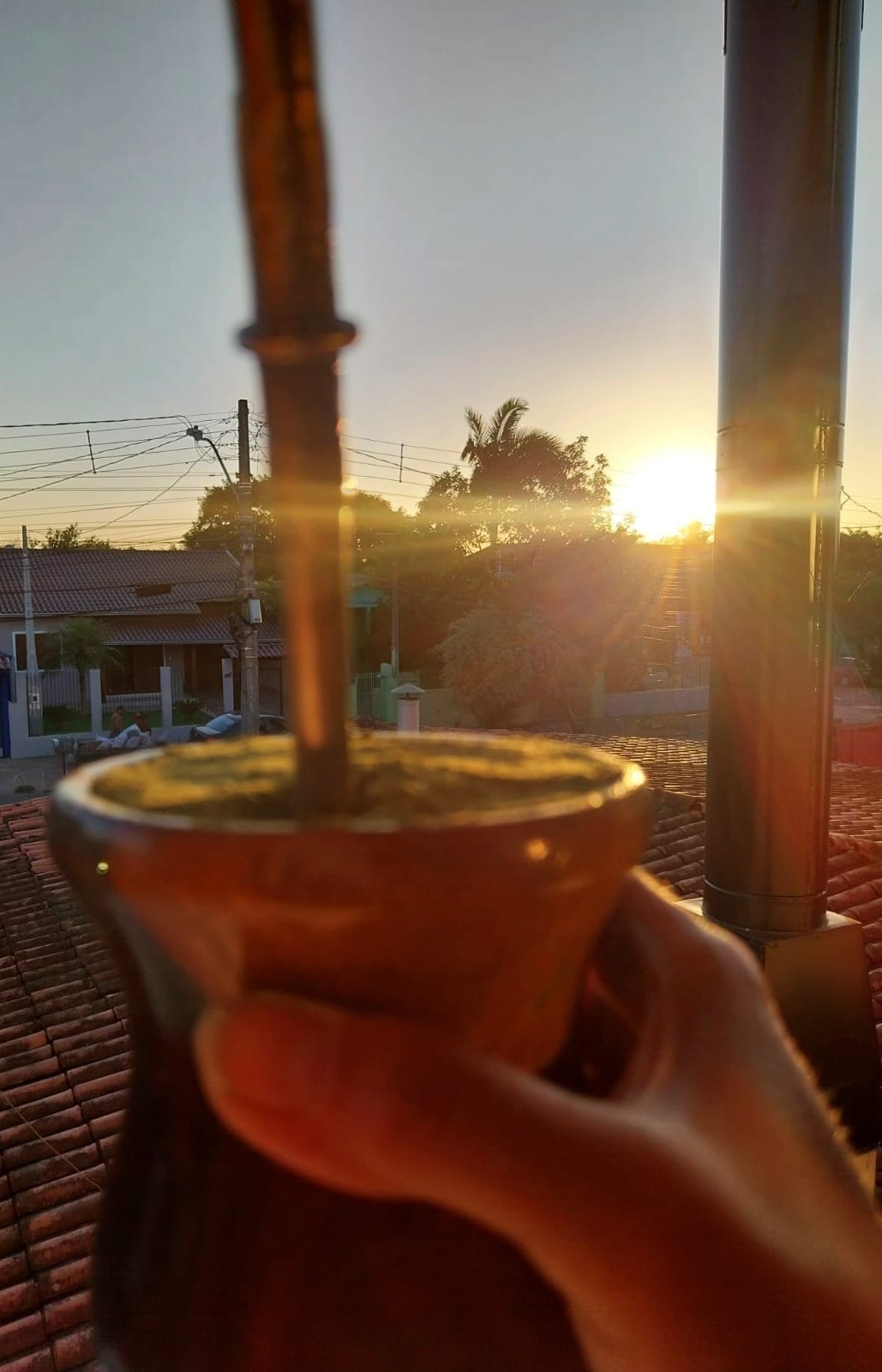 A close-up view of a hand holding a traditional mate cup, with a metal straw. The background captures a warm sunset, casting light across rooftops and highlighting palm trees and distant buildings. The scene conveys a peaceful, relaxed atmosphere.