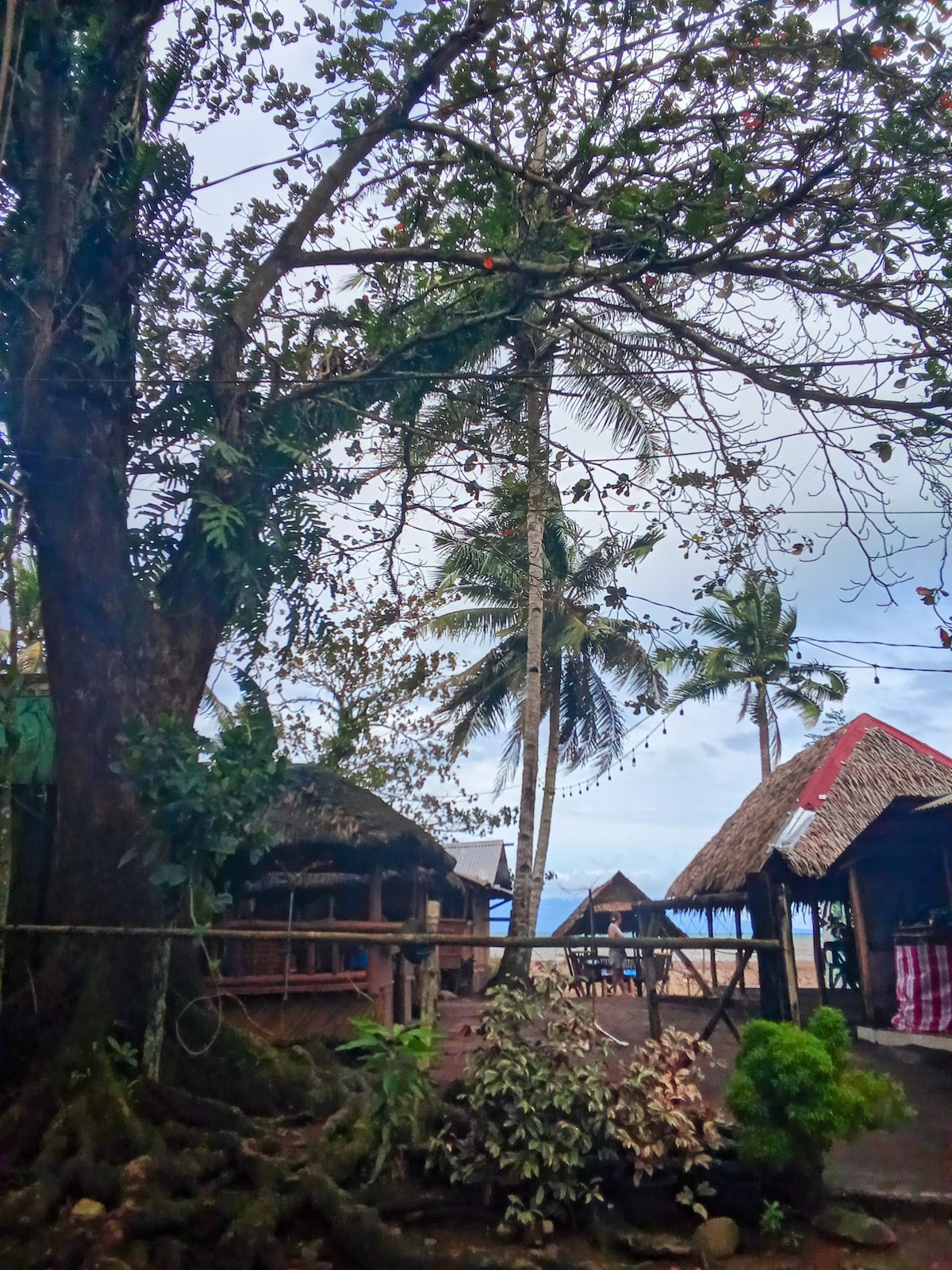 A tall tree stands prominently in the foreground, surrounded by lush greenery. Traditional thatched huts are visible in the background, with palm trees swaying gently. A hint of the ocean can be seen in the distance under a cloudy sky.
