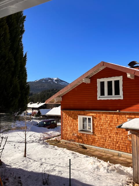 Wooden house at the edge of the forest