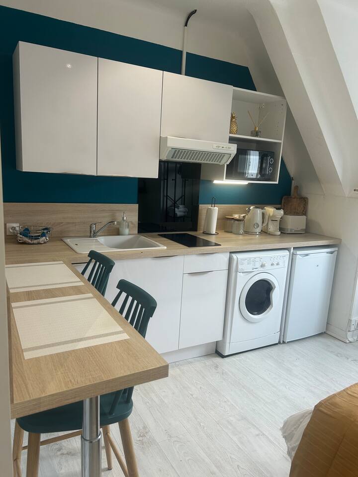 Appartement Miscanthus Hypercentre - Lorient