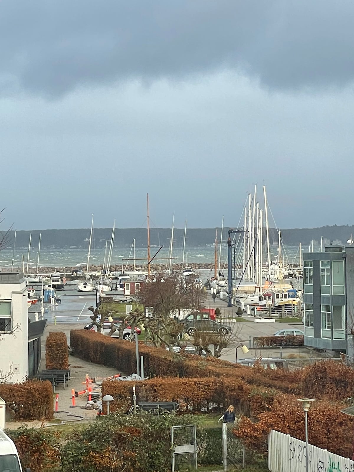 A view of a harbor bustling with sailboats and yachts, framed by neatly trimmed hedges. A path leads along the waterfront with trees lining the harbor. The sky is overcast, providing a muted backdrop for the marine activity and landscape.