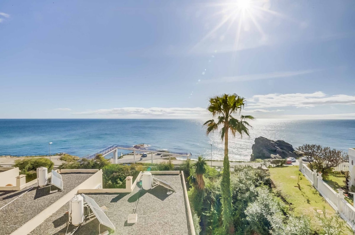 An expansive view of the sea is captured under bright sunlight, with gentle waves lapping at the shore. A palm tree stands prominently in the foreground, complemented by a clear blue sky and distant rocky formations along the coastline.