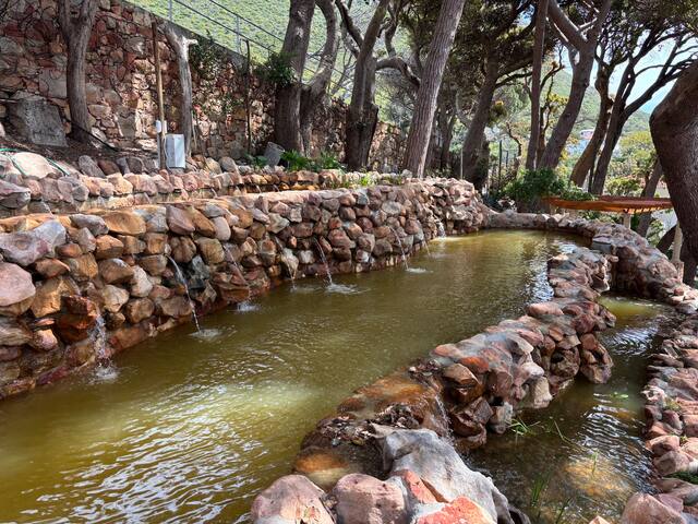 Stylish Hidden Gem in Muizenberg gallery image 5