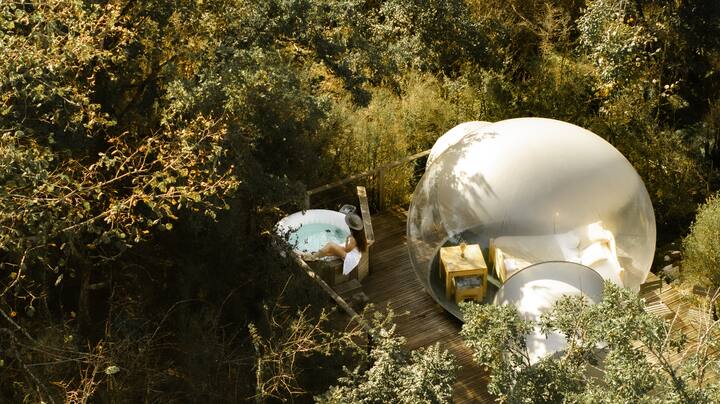 Bulle Transparente - Confort