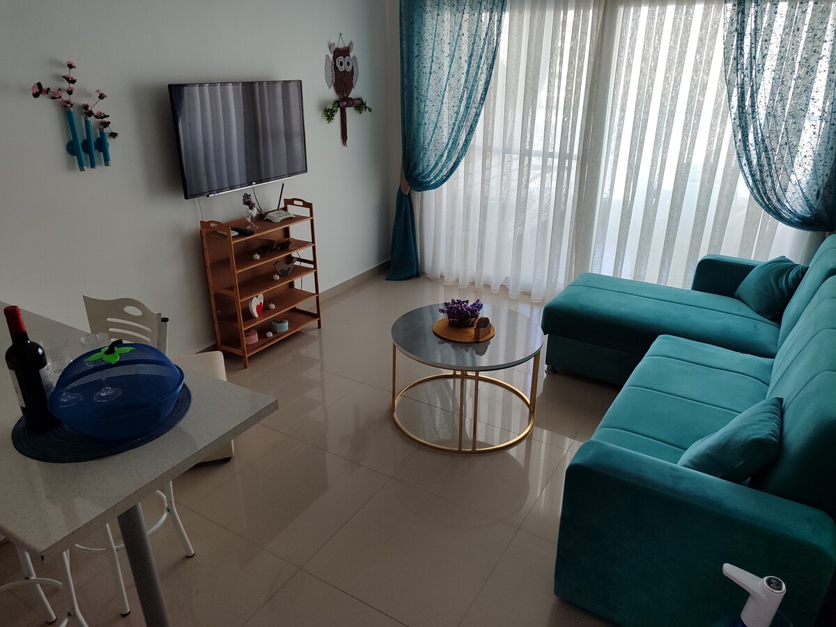 A contemporary living space is presented, featuring a teal sectional sofa accompanied by a round coffee table. A wall-mounted television is positioned on a wooden shelf, while light drapes allow natural light to fill the room. Decorative elements enhance the inviting atmosphere.