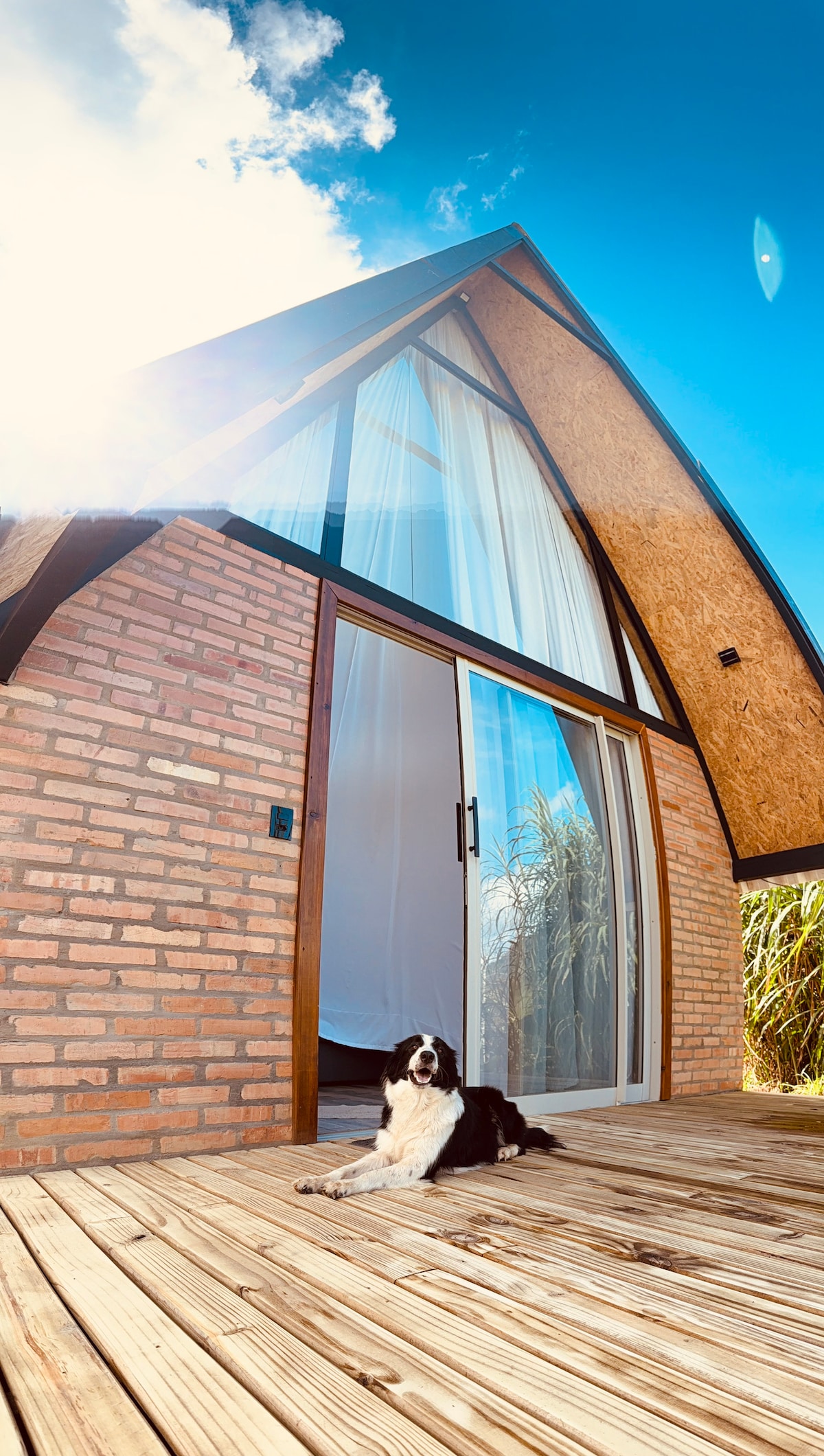 A modern chalet with a distinctive sloped roof is depicted. The structure features large glass doors, allowing natural light to flow in. A dog rests comfortably on the wooden deck, surrounded by lush greenery and under a clear blue sky.