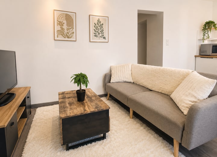 Le Déchelette 2, Appartement Cosy En Plein Centre - Roanne